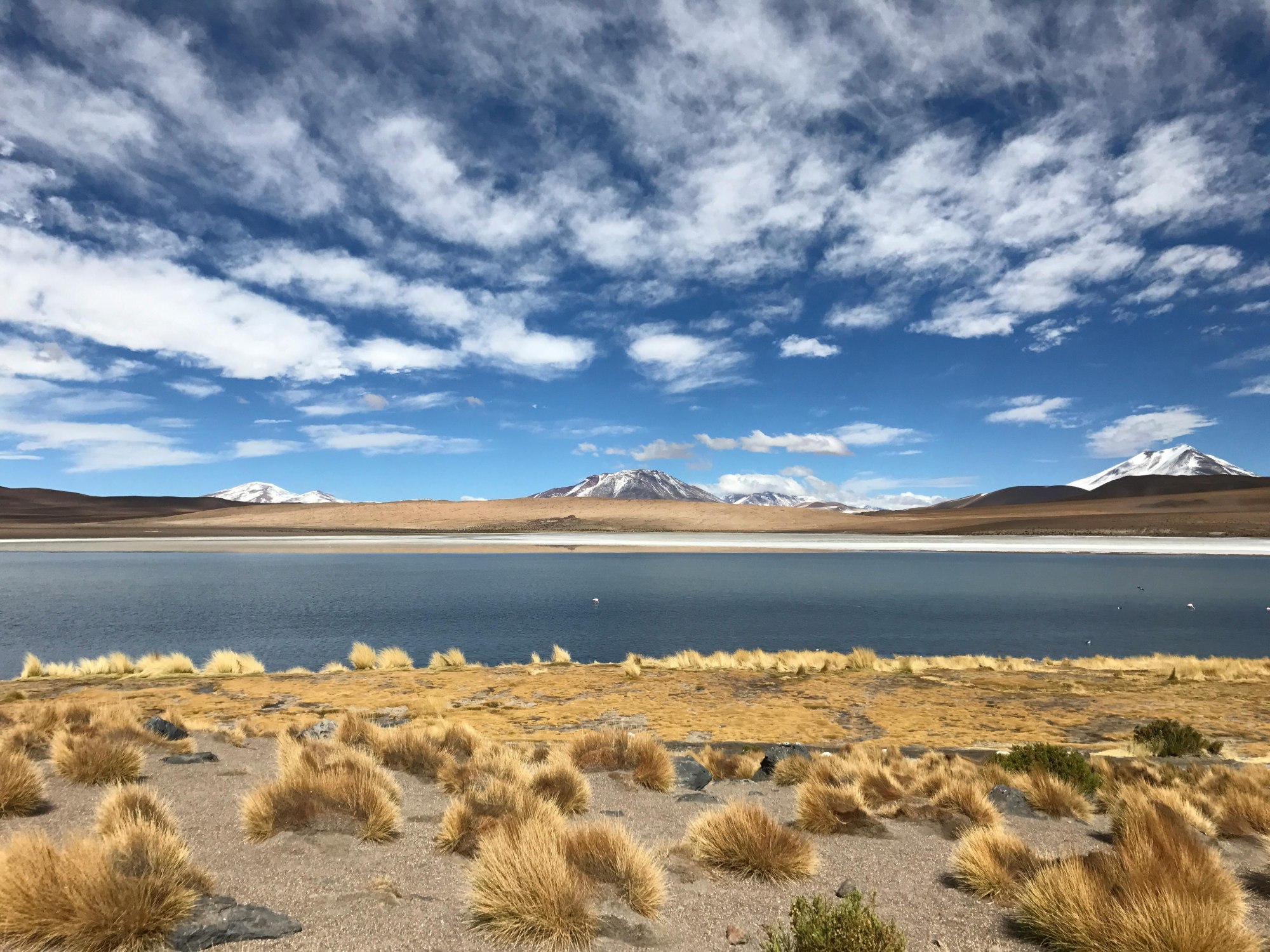Titan Andes Gold Project